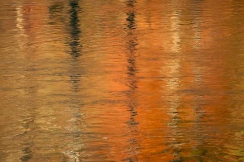 Fort Payne;Alabama;Orange;Gold;Little River Canyon National Preserve;Abstract;Little River Canyon;Mirror;Yellow;Abstracts;water;Abstraction;Patterns;Gray;Stream;reflection;Red;reflections;river;Tan